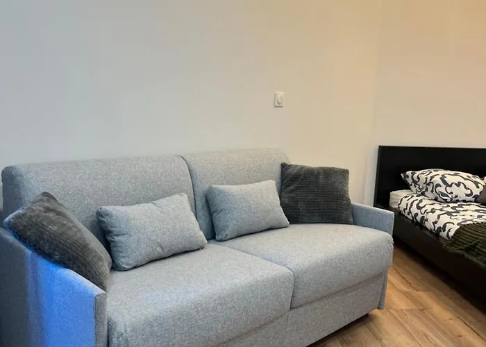 Appartement 6 Personnes Strasbourg Proche Centre Ville & Parking
